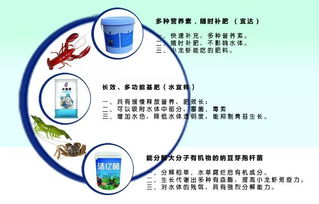 四月金磚水產(chǎn)盛會(huì) 先進(jìn)養(yǎng)殖設(shè)備與技術(shù)齊聚廈門