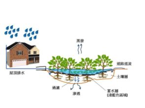技術(shù)開(kāi)發(fā)的全景透析 從概念到實(shí)踐