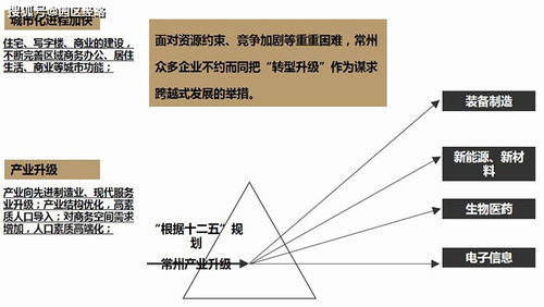 常州恒生科技園項目市場營銷策劃報告